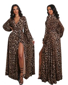 Sexy Leopard Print V Neck