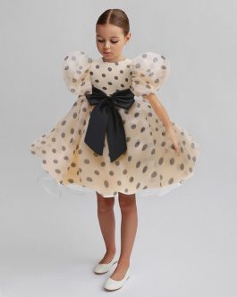 2-8Y Toddler Kids Girls Party Dress